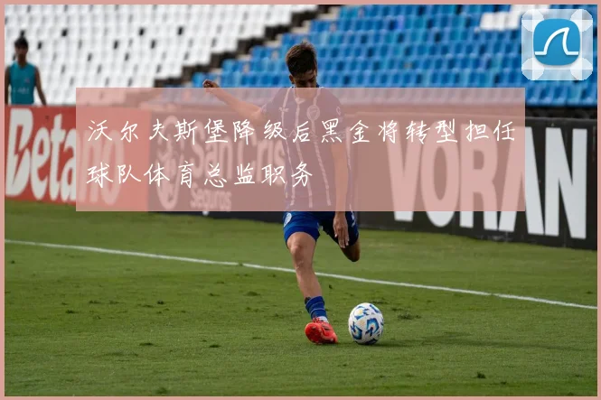 沃尔夫斯堡降级后黑金将转型担任球队体育总监职务
