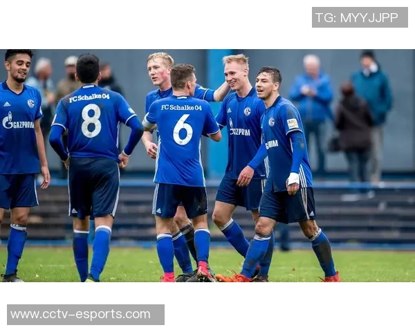 哲科加盟德甲后状态火热沙尔克04稳居德乙榜首继续发力